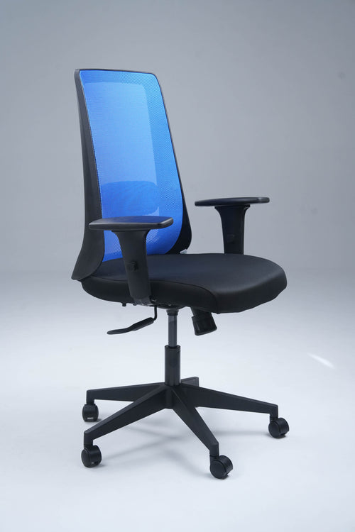 Plasma Medium Back Office Chair - Black & Blue